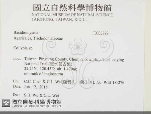 登錄號:F0033878藏品圖，第2張