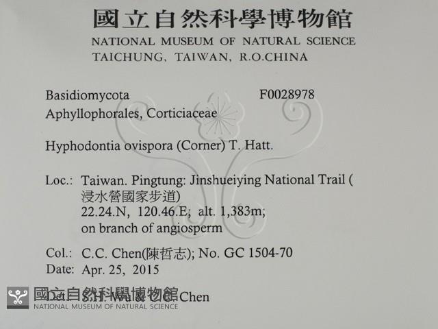 登錄號:F0028978藏品圖，第2張