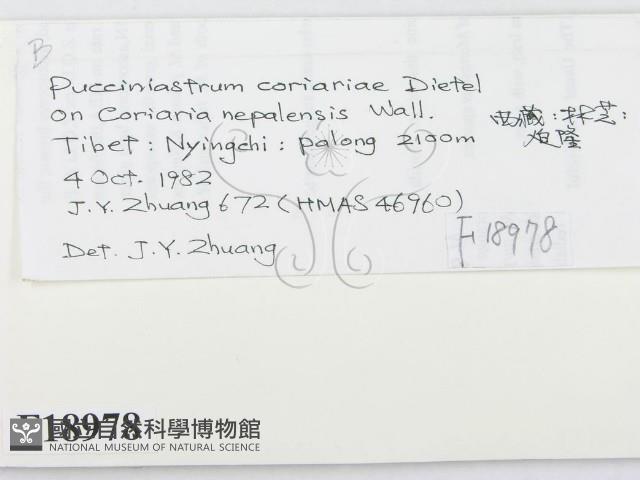 登錄號:F0018978藏品圖，第2張