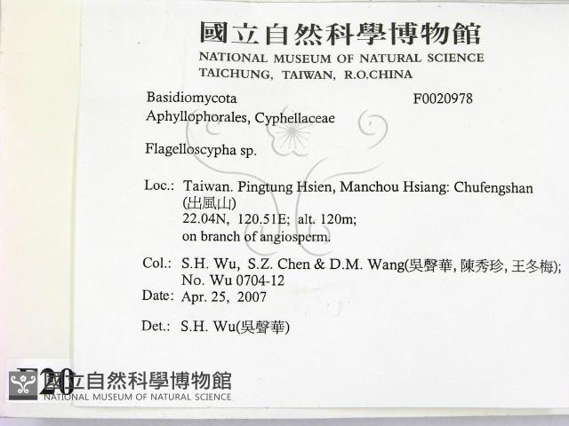 登錄號:F0020978藏品圖，第2張