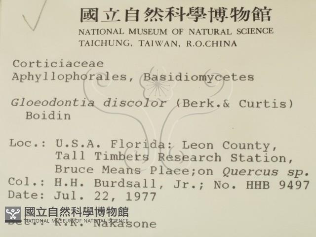 登錄號:F0000978藏品圖，第2張