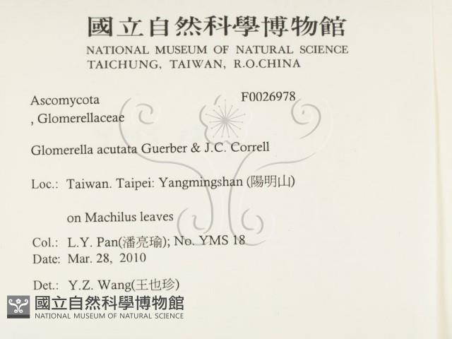 登錄號:F0026978藏品圖，第2張