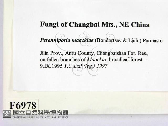 登錄號:F0006978藏品圖，第2張