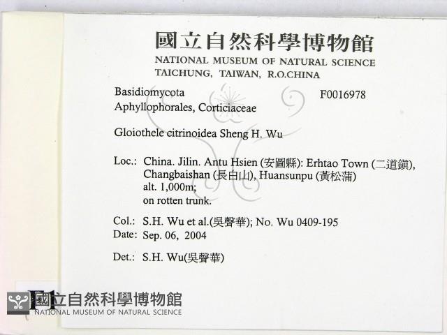 登錄號:F0016978藏品圖，第2張