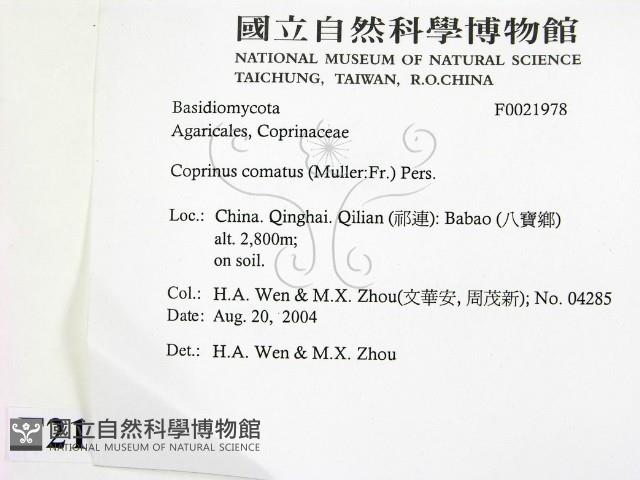 登錄號:F0021978藏品圖，第2張