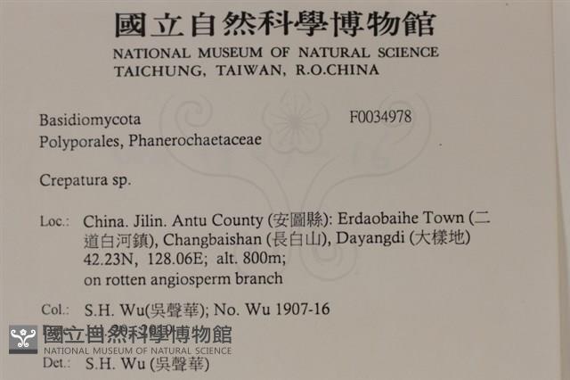 登錄號:F0034978藏品圖，第2張