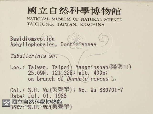 登錄號:F0002978藏品圖，第2張
