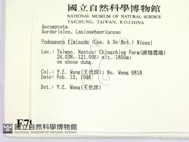 登錄號:F0007978藏品圖，第2張