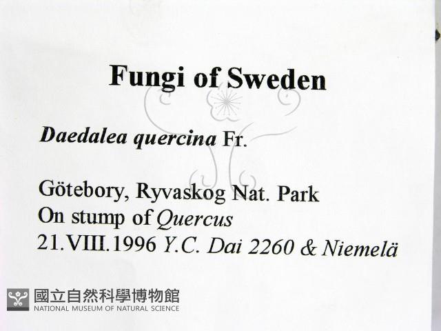 登錄號:F0005978藏品圖，第2張