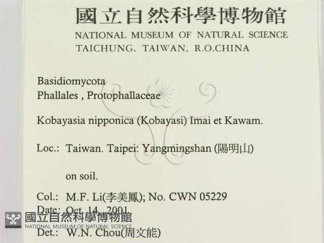 登錄號:F0015978藏品圖，第2張