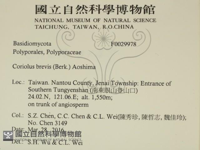登錄號:F0029978藏品圖，第2張