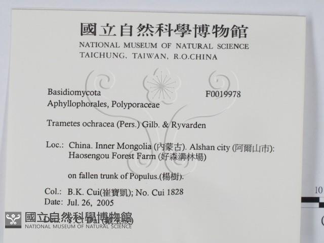登錄號:F0019978藏品圖，第2張