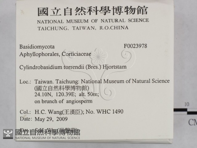 登錄號:F0023978藏品圖，第2張