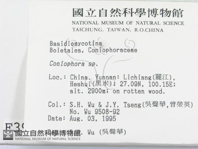 登錄號:F0003978藏品圖，第2張