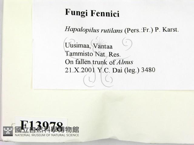 登錄號:F0013978藏品圖，第2張