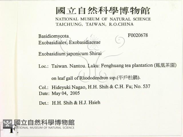 登錄號:F0020678藏品圖，第2張