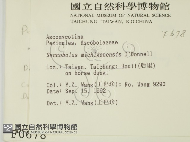 登錄號:F0000678藏品圖，第2張