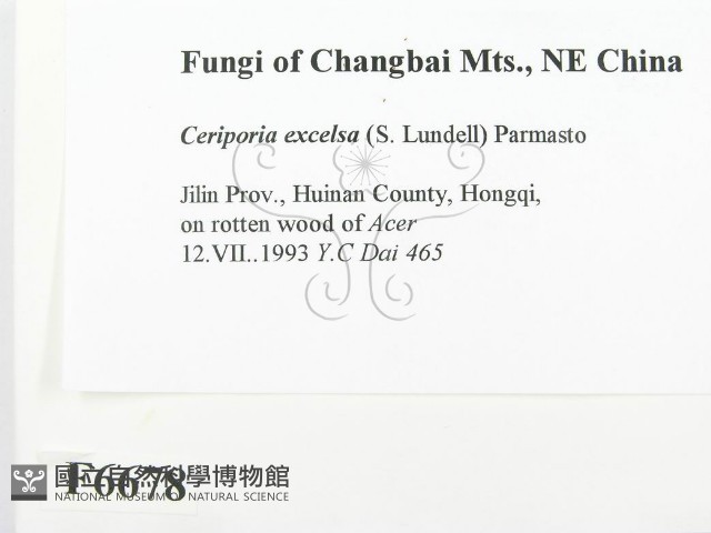 登錄號:F0006678藏品圖，第2張
