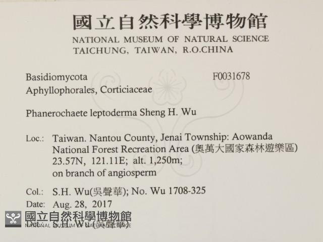 登錄號:F0031678藏品圖，第2張