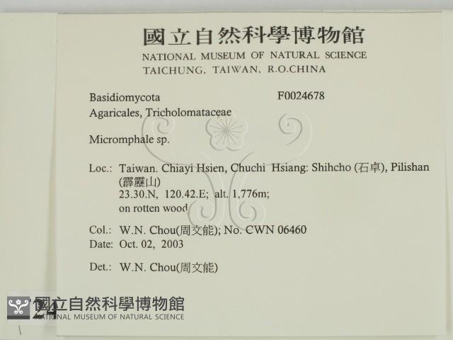 登錄號:F0024678藏品圖，第2張
