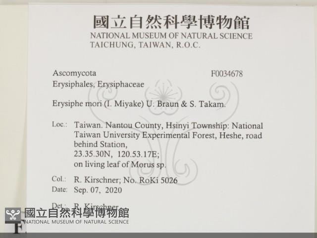 登錄號:F0034678藏品圖，第2張