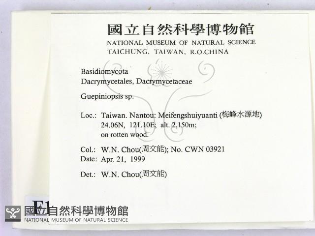 登錄號:F0012678藏品圖，第2張