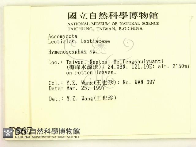 登錄號:F0005678藏品圖，第2張