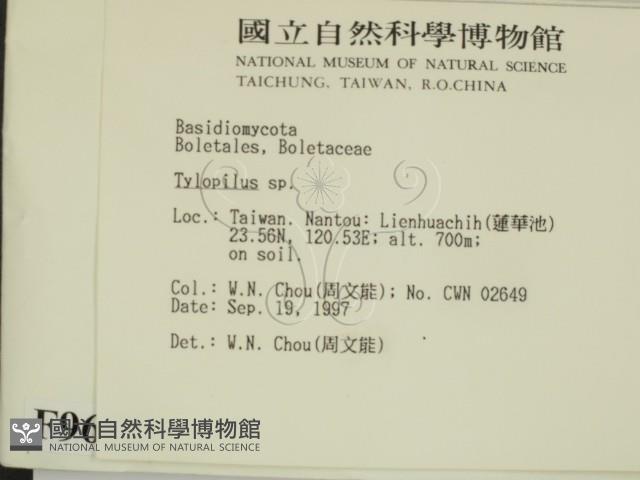 登錄號:F0009678藏品圖，第2張