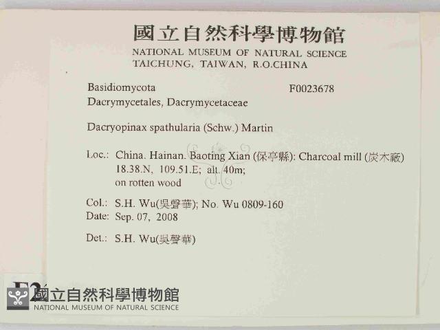登錄號:F0023678藏品圖，第2張