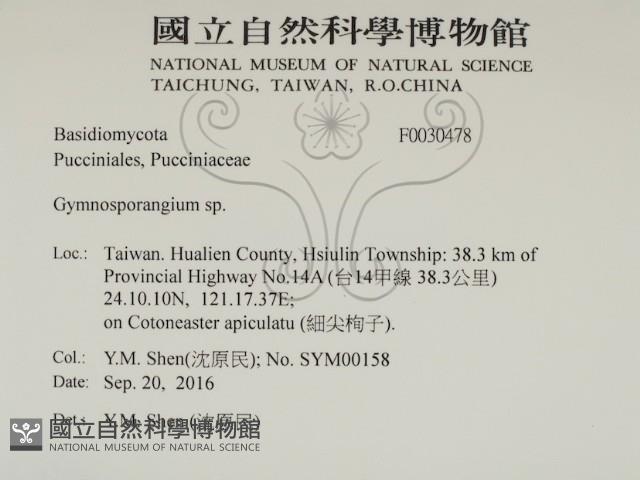 登錄號:F0030478藏品圖，第2張