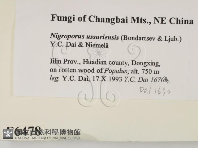 登錄號:F0006478藏品圖，第2張