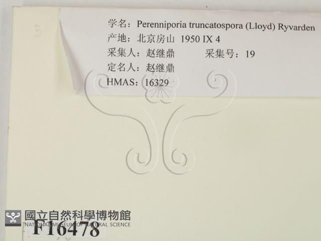 登錄號:F0016478藏品圖，第2張