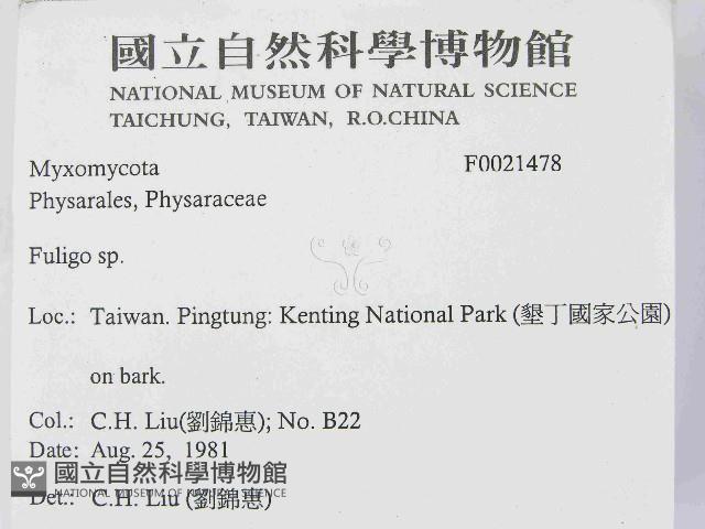 登錄號:F0021478藏品圖，第2張