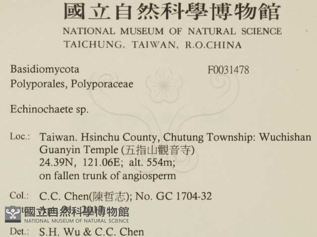 登錄號:F0031478藏品圖，第2張