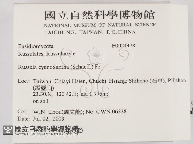 登錄號:F0024478藏品圖，第2張