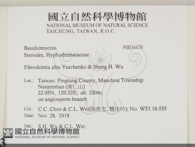 登錄號:F0034478藏品圖，第2張