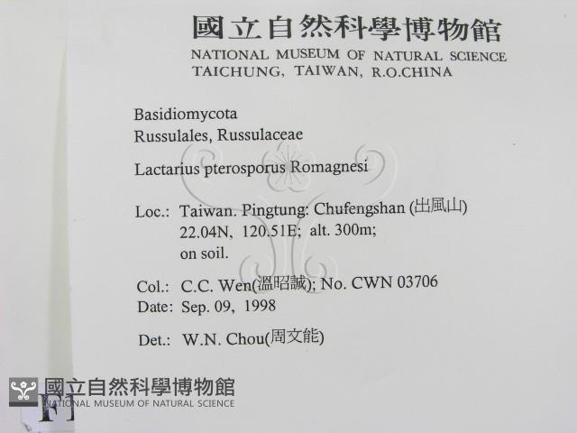 登錄號:F0012478藏品圖，第2張