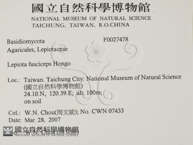 登錄號:F0027478藏品圖，第2張