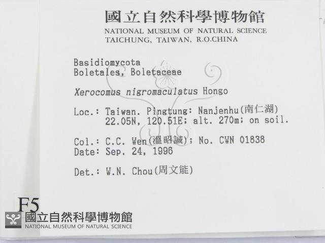 登錄號:F0005478藏品圖，第2張