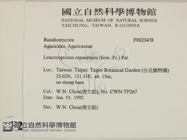 登錄號:F0023478藏品圖，第2張