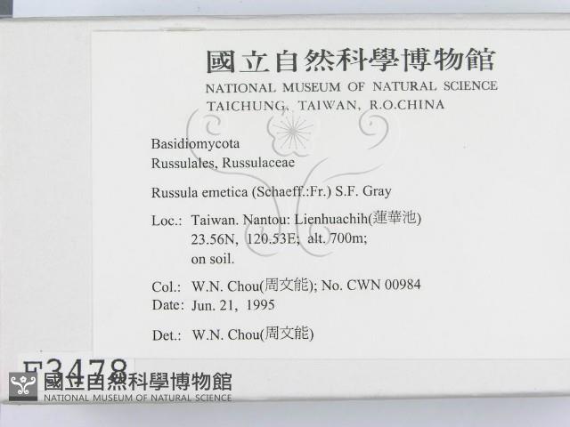 登錄號:F0003478藏品圖，第2張