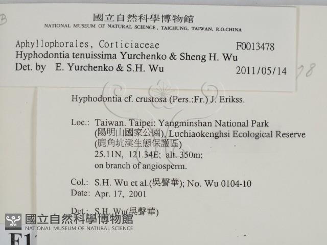登錄號:F0013478藏品圖，第2張