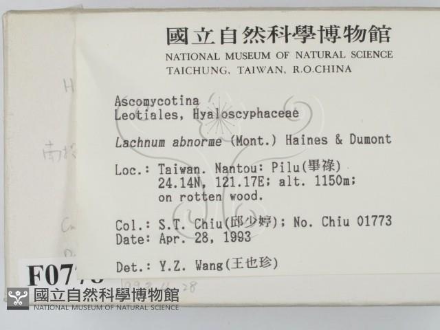 登錄號:F0000778藏品圖，第2張