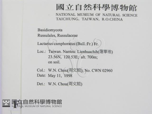 登錄號:F0010778藏品圖，第2張