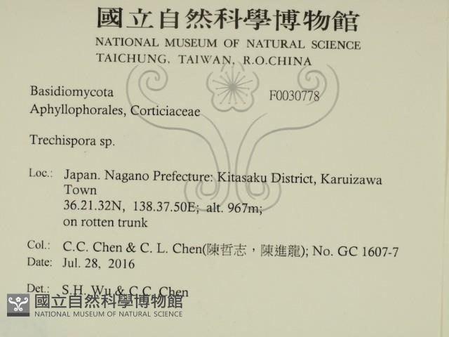 登錄號:F0030778藏品圖，第2張