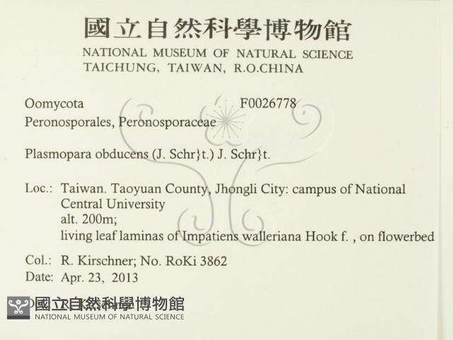 登錄號:F0026778藏品圖，第2張