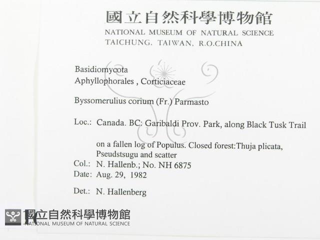 登錄號:F0016778藏品圖，第2張