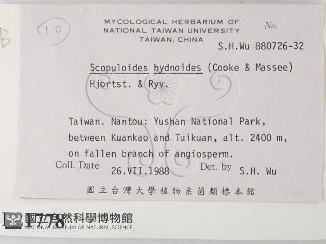 針齒銳岩菌藏品圖，第2張