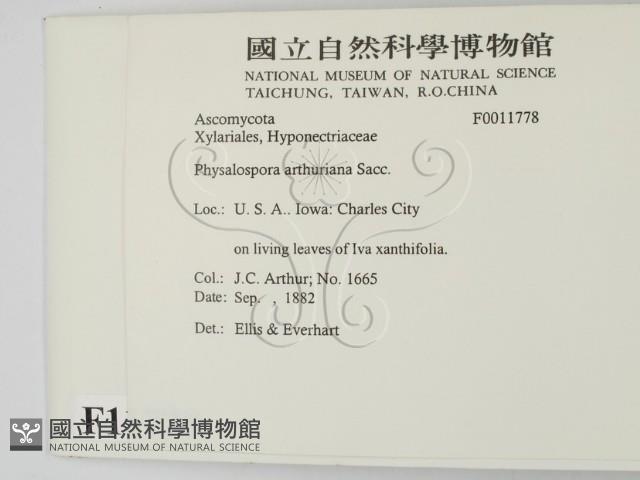 登錄號:F0011778藏品圖，第2張