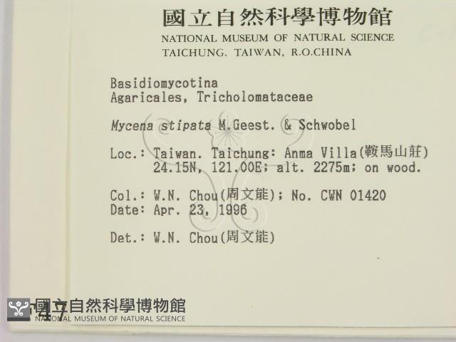登錄號:F0004778藏品圖，第2張